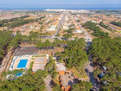 Camping Orbitur Vagueira - Camping Centre du Portugal - Image N°10