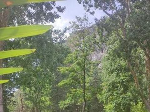 Camping le Moulin du Pont d'Alies - Camping Aude - Image N°23