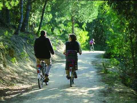 Camping Landes Azur - Camping Landes - Image N°24