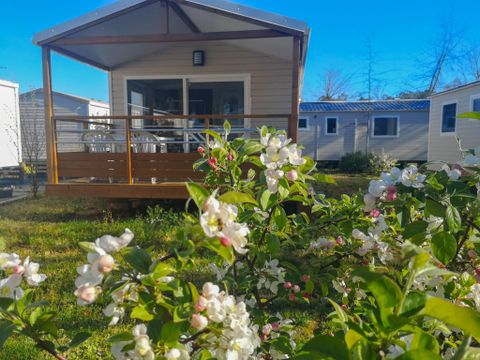 Camping Landes Azur - Camping Landes - Image N°54