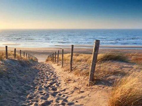 Camping Landes Azur - Camping Landes - Image N°50