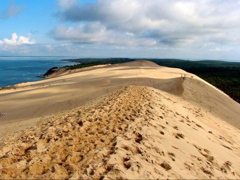 Camping Landes Azur - Camping Landes - Image N°66