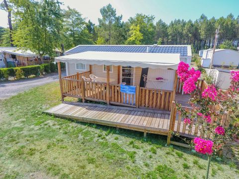 Camping Landes Azur - Camping Landes - Image N°83