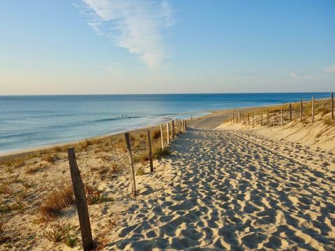 Camping Landes Azur - Camping Landes - Image N°76