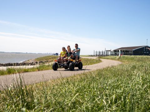 Camping Scheldeoord - Camping Borsele - Image N°39