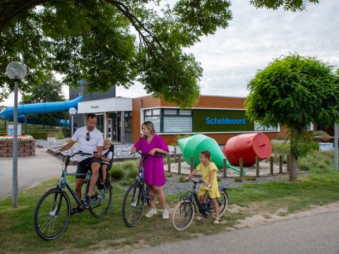 Camping Scheldeoord - Camping Borsele - Image N°10