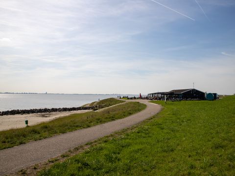 Camping Scheldeoord - Camping Borsele - Image N°37