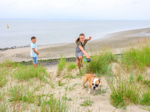 Camping Scheldeoord - Camping Borsele - Image N°42