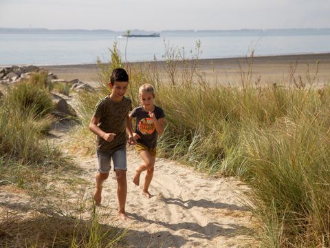 Camping Scheldeoord - Camping Borsele - Image N°3