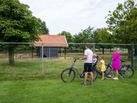Camping Scheldeoord - Camping Borsele - Image N°19