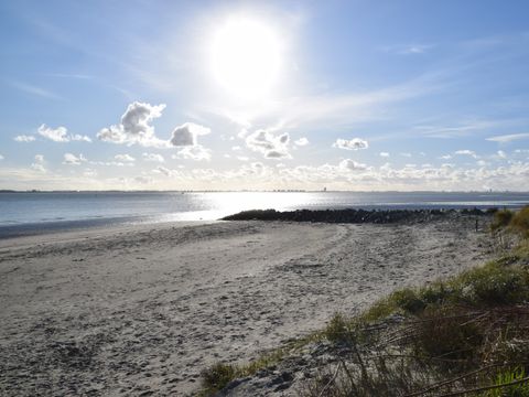 Camping Scheldeoord - Camping Borsele - Image N°49
