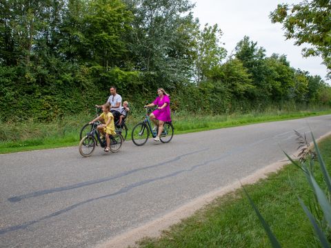 Camping Scheldeoord - Camping Borsele - Image N°33