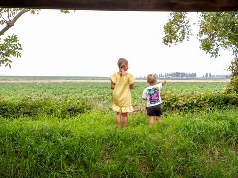 Camping Scheldeoord - Camping Borsele - Image N°31