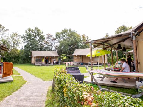 Camping Scheldeoord - Camping Borsele - Image N°17