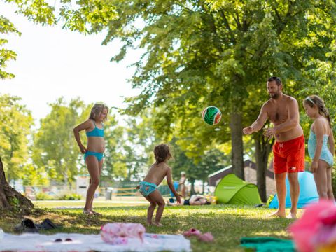 Balatontourist Füred Camping - Camping Hongrie - Image N°31
