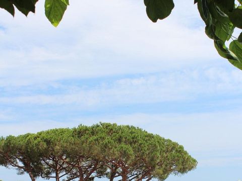 Camping Globo Barcelona - Camping Barcelone - Image N°29