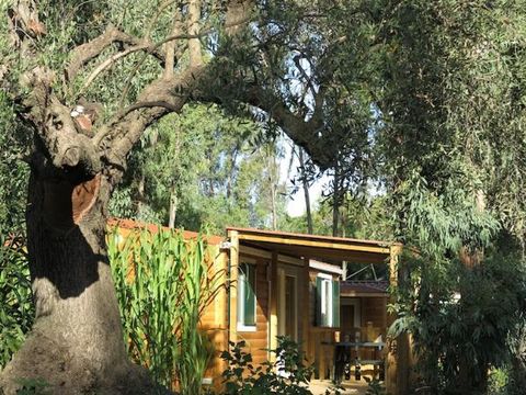 MOBILHOME 4 personnes - Giada Superior