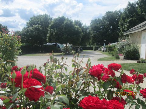 Camping Les Rioms - Camping Indre-et-Loire - Image N°13
