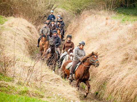 Camping Domaine du Lieu Dieu - Camping Somme - Image N°21