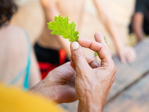 Ushuaia Villages Domaine de la Colombière - Camping Dordogne - Image N°4