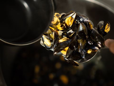 Ushuaia Villages La Colombière - Camping Dordogne - Image N°38