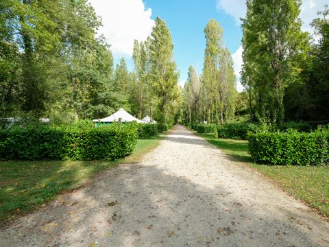 Emplacement - Emplacement camping 100 m²