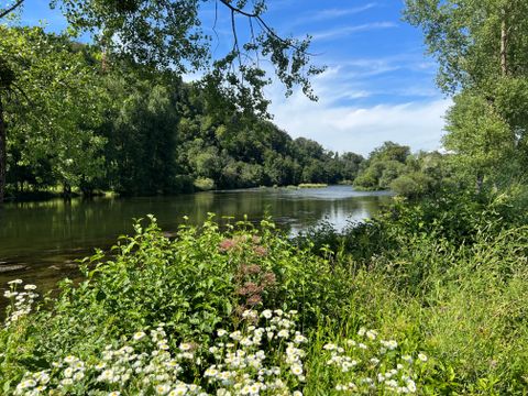 Camping L'Etang des Forges - Camping Territoire-de-Belfort - Image N°38