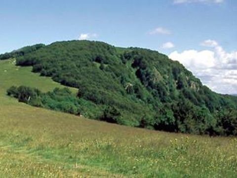 Camping L'Etang des Forges - Camping Territoire-de-Belfort - Image N°35