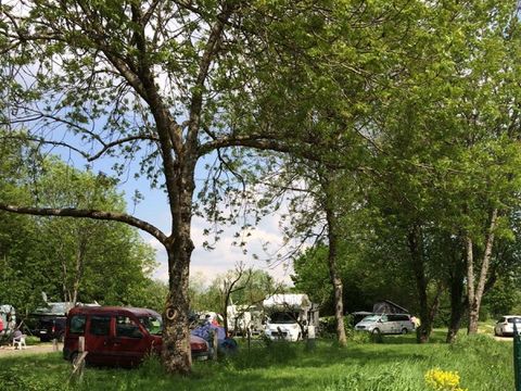 Camping L'Etang des Forges - Camping Territoire-de-Belfort - Image N°15