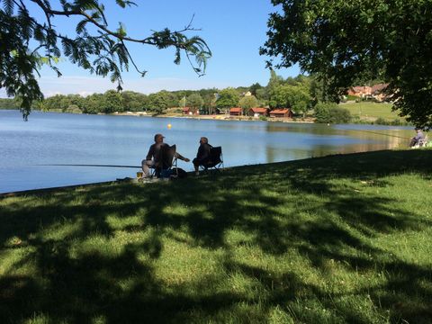 Camping L'Etang des Forges - Camping Territoire-de-Belfort - Image N°21
