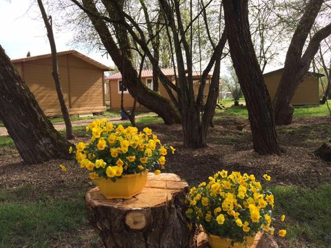 Camping L'Etang des Forges - Camping Territoire-de-Belfort - Image N°23
