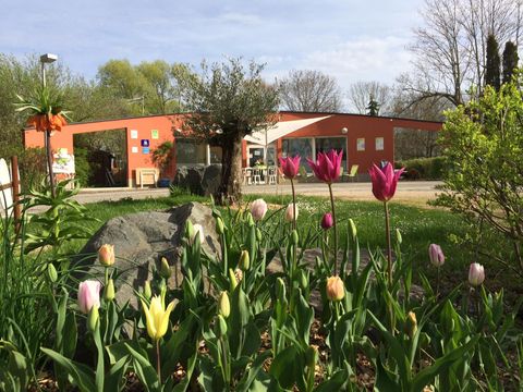 Camping L'Etang des Forges - Camping Territoire-de-Belfort - Image N°14