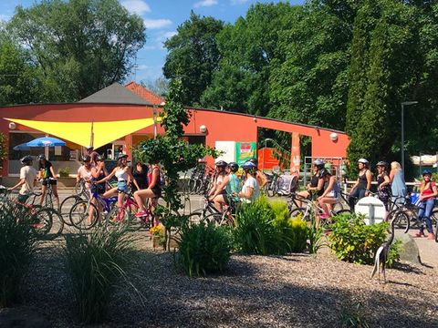 Camping L'Etang des Forges - Camping Territoire-de-Belfort - Image N°6