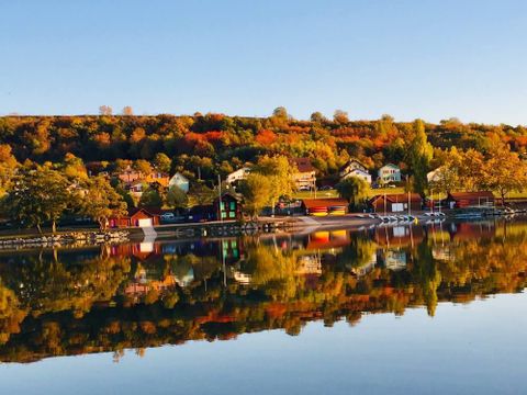 Camping L'Etang des Forges - Camping Territoire-de-Belfort - Image N°20