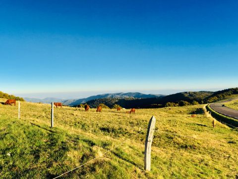 Camping L'Etang des Forges - Camping Territoire-de-Belfort - Image N°19