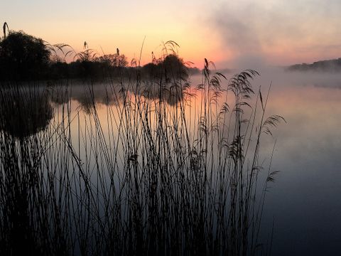 Camping L'Etang des Forges - Camping Territoire-de-Belfort - Image N°22