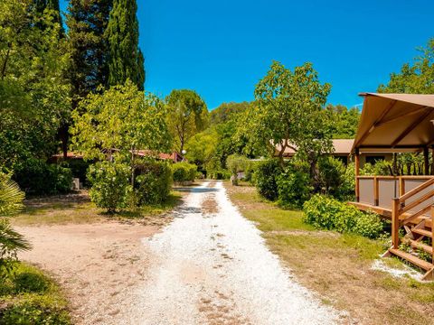Flower Camping Les Tomasses - Camping Var - Image N°11