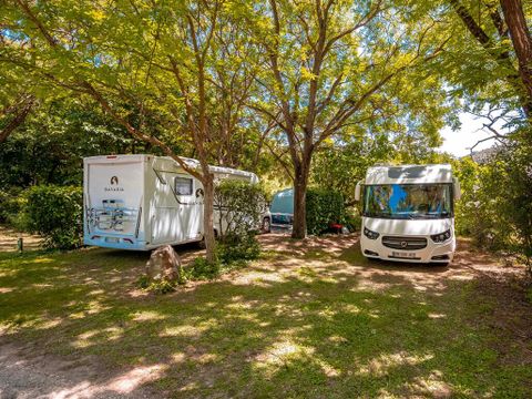 Flower Camping Les Tomasses - Camping Var - Image N°13