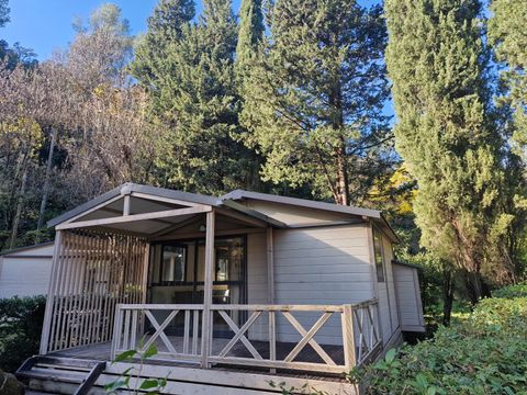 Chalet 4 personnes - Confort l’Amandier - 2 chambres - -4 pers max - 21 m² - Terrasse
