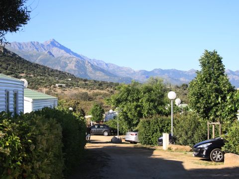 Parc Résidentiel La Listra - Camping Corse du Nord - Image N°15
