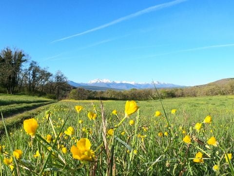 CHALET 5 personnes - 2 chambres