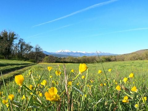 TENTE 4 personnes - Tente équipée 4 personnes (dimanche à dimanche du 07/07/24 au 01/09/24) 4 pers. 