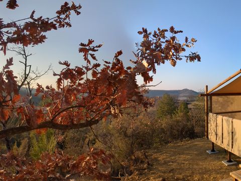 BUNGALOW TOILÉ 4 personnes - Jungle lodge 4 personnes (dimanche à dimanche du 07/07/24 au 01/09/24) 4 pers. 