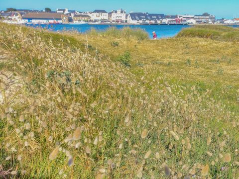 Camping Paradis Moulin des Oies - Camping Morbihan - Image N°27
