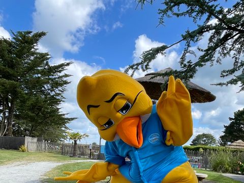 Camping Paradis Moulin des Oies - Camping Morbihan - Image N°48
