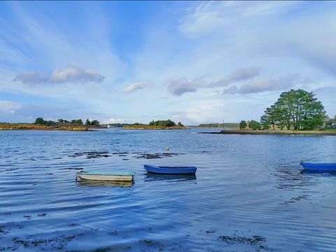 Camping Paradis Moulin des Oies - Camping Morbihan - Image N°43