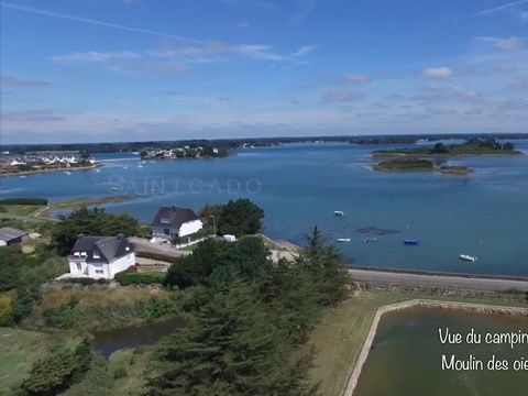 Camping Paradis Moulin des Oies - Camping Morbihan - Image N°44