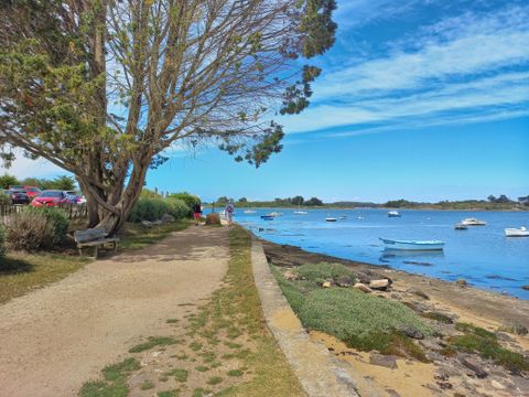 Camping Paradis Moulin des Oies - Camping Morbihan - Image N°40