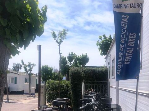 Camping Tauro - Camping Castellón - Image N°10