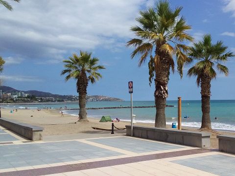 Camping Tauro - Camping Castellón - Image N°15